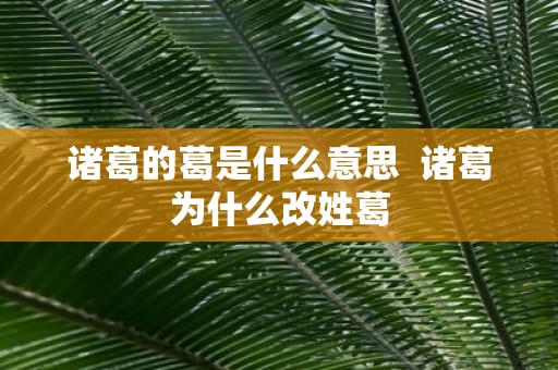 诸葛的葛是什么意思 诸葛为什么改姓葛