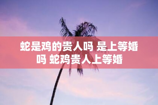 蛇是鸡的贵人吗 是上等婚吗 蛇鸡贵人上等婚