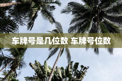 车牌号是几位数 车牌号位数