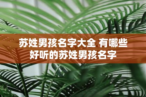 苏姓男孩名字大全 有哪些好听的苏姓男孩名字