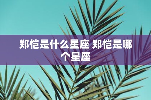 郑恺是什么星座 郑恺是哪个星座