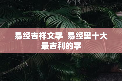 易经吉祥文字 易经里十大最吉利的字