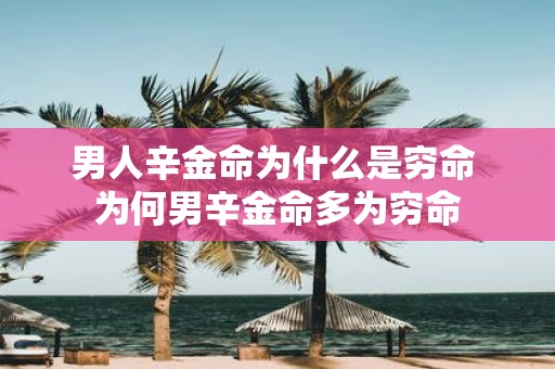 男人辛金命为什么是穷命 为何男辛金命多为穷命