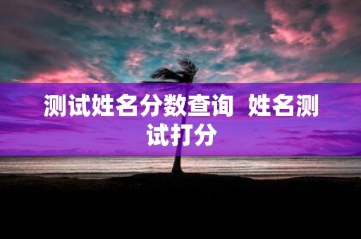 测试姓名分数查询 姓名测试打分