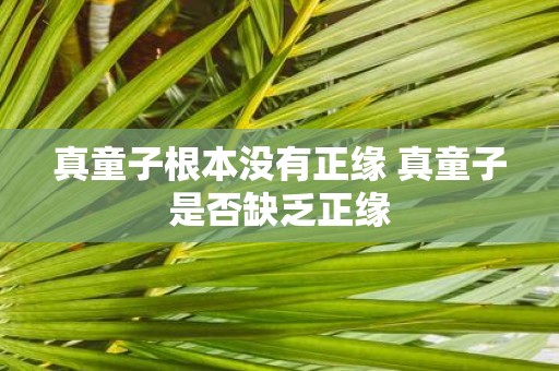 真童子根本没有正缘 真童子是否缺乏正缘