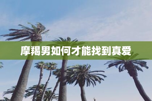 摩羯男如何才能找到真爱