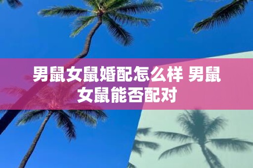 男鼠女鼠婚配怎么样 男鼠女鼠能否配对