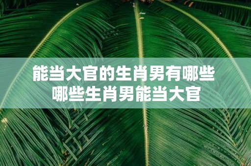 能当大官的生肖男有哪些 哪些生肖男能当大官