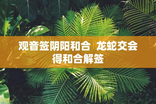 观音签阴阳和合 龙蛇交会得和合解签