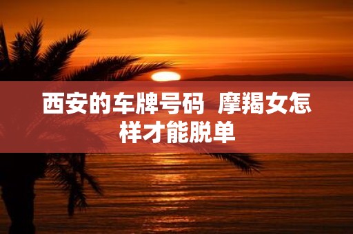 西安的车牌号码 摩羯女怎样才能脱单