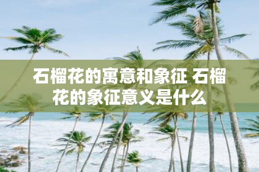 石榴花的寓意和象征 石榴花的象征意义是什么