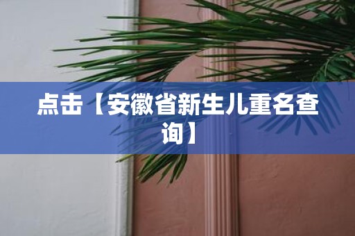 点击【安徽省新生儿重名查询】