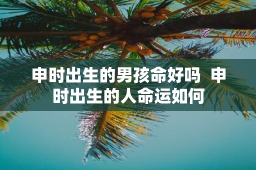 申时出生的男孩命好吗 申时出生的人命运如何
