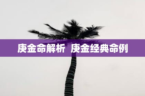 庚金命解析 庚金经典命例