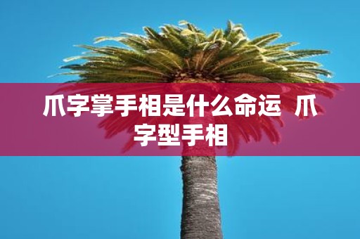 爪字掌手相是什么命运 爪字型手相