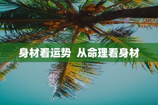 身材看运势 从命理看身材