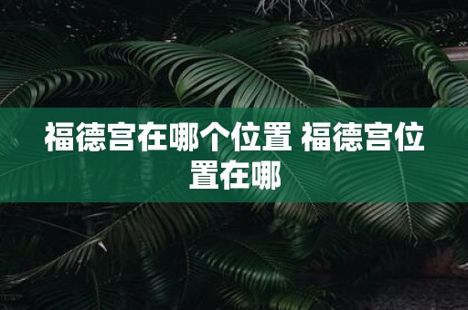 福德宫在哪个位置 福德宫位置在哪