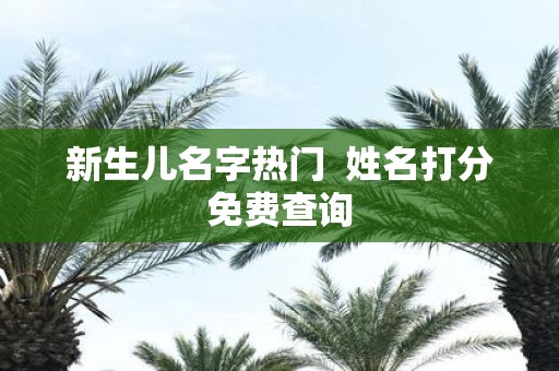 新生儿名字热门 姓名打分免费查询