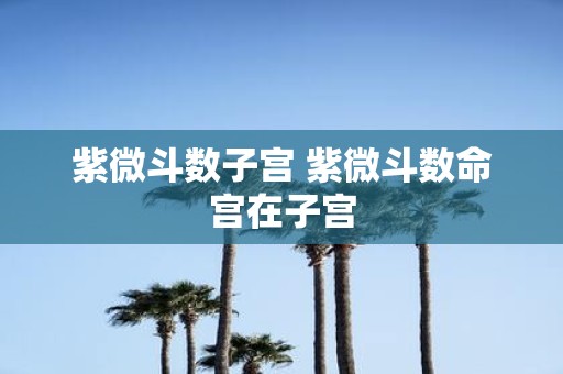 紫微斗数子宫 紫微斗数命宫在子宫