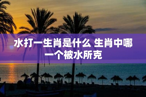 水打一生肖是什么 生肖中哪一个被水所克