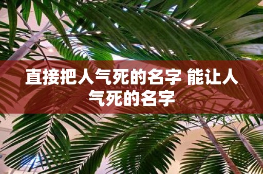 直接把人气死的名字 能让人气死的名字