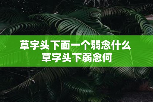 草字头下面一个弱念什么 草字头下弱念何 草字头下面一个弱念什么 草字头下弱念何