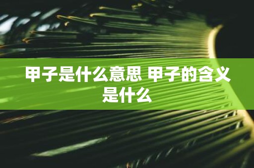 甲子是什么意思 甲子的含义是什么