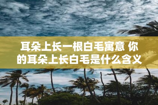 耳朵上长一根白毛寓意 你的耳朵上长白毛是什么含义