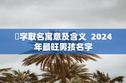 苼字取名寓意及含义 2025年最旺男孩名字