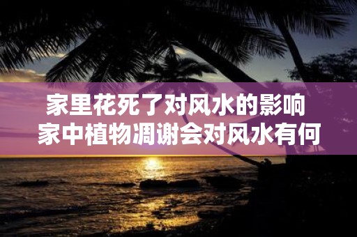 家里花死了对风水的影响 家中植物凋谢会对风水有何影响