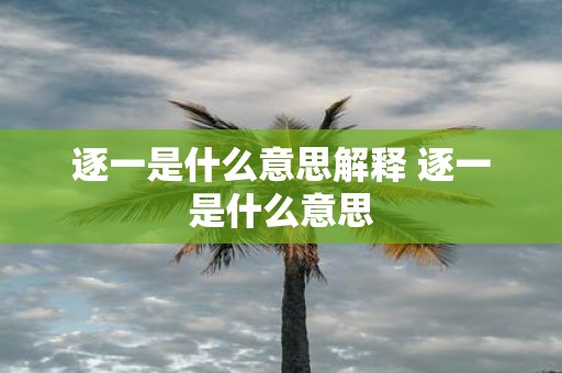 逐一是什么意思解释 逐一是什么意思