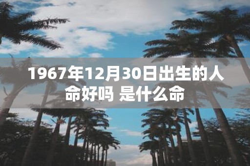 1967年12月30日出生的人命好吗 是什么命