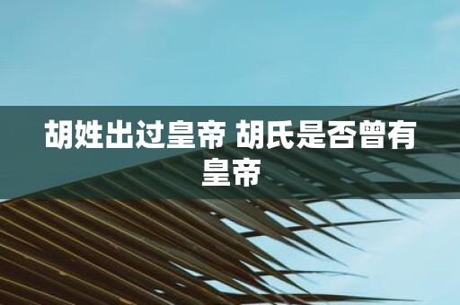 胡姓出过皇帝 胡氏是否曾有皇帝