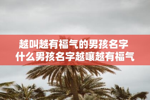 越叫越有福气的男孩名字 什么男孩名字越嚷越有福气