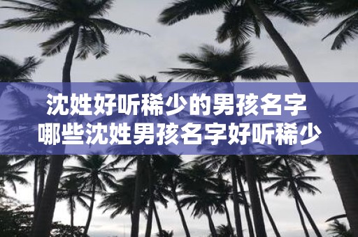 沈姓好听稀少的男孩名字 哪些沈姓男孩名字好听稀少