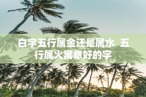白字五行属金还是属水 五行属火寓意好的字