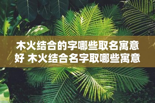 木火结合的字哪些取名寓意好 木火结合名字取哪些寓意好