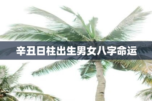 辛丑日柱出生男女八字命运