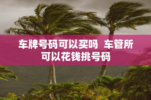 车牌号码可以买吗 车管所可以花钱挑号码