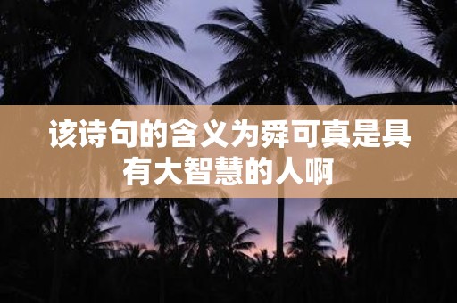 该诗句的含义为舜可真是具有大智慧的人啊