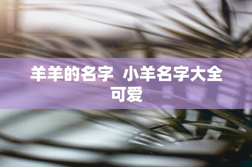 羊羊的名字 小羊名字大全可爱