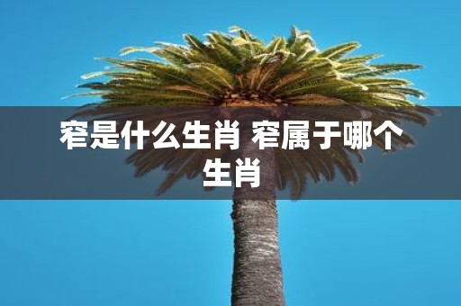 窄是什么生肖 窄属于哪个生肖