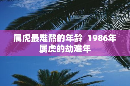 属虎最难熬的年龄 1986年属虎的劫难年