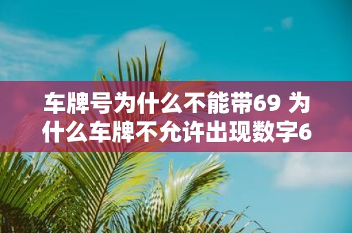 车牌号为什么不能带69 为什么车牌不允许出现数字69