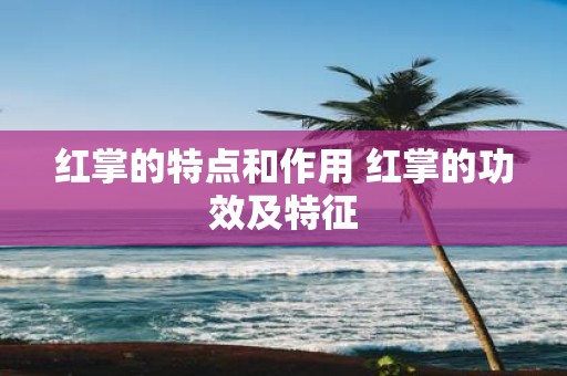 红掌的特点和作用 红掌的功效及特征