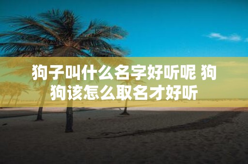 狗子叫什么名字好听呢 狗狗该怎么取名才好听