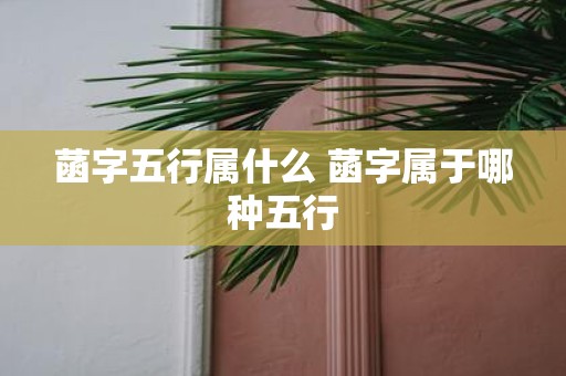 菡字五行属什么 菡字属于哪种五行