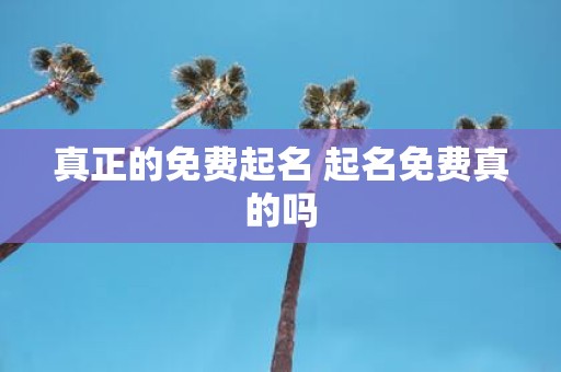 真正的免费起名 起名免费真的吗