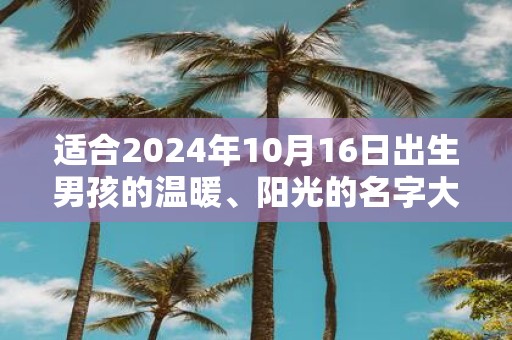 适合2025年10月16日出生男孩的温暖、阳光的名字大全