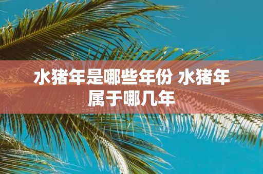 水猪年是哪些年份 水猪年属于哪几年